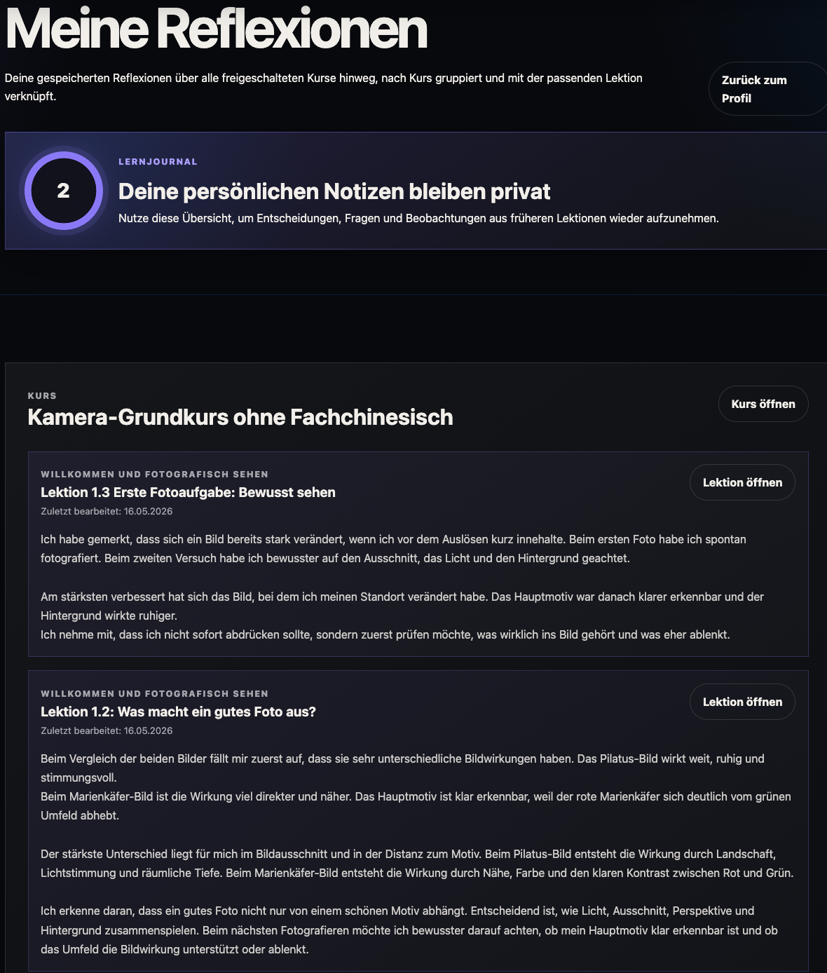 Printscreen der Reflexionsübersicht nach Kurs gruppiert